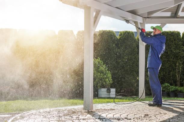 Best Soft Washing  in Laurel Bay, SC